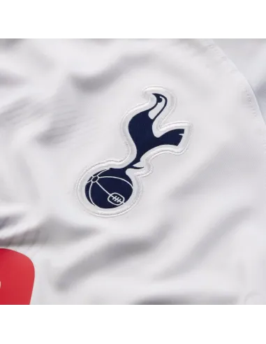ANGLETERRE PREMIER LEAGUE,TOTTENHAM