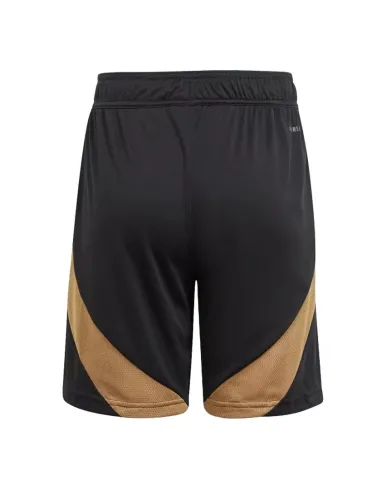 BELGIQUE,PACK ENSEMBLE ADULTE