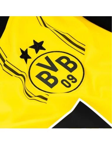BORUSSIA DORTMUND