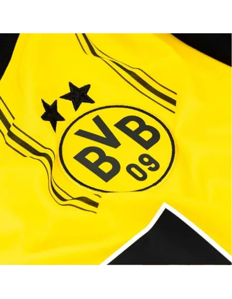 BORUSSIA DORTMUND